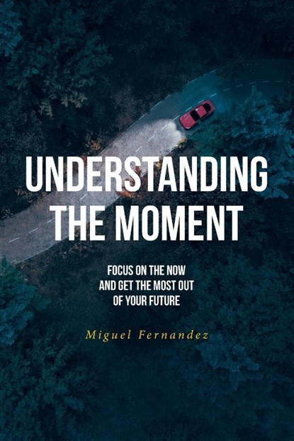 Understanding the Moment, Miguel Fernandez - Paperback - 9798889829034