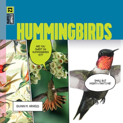 Hummingbirds, Quinn M. Arnold - Gebonden - 9798889892199
