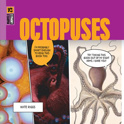 Octopuses, Kate Riggs - Gebonden - 9798889892212