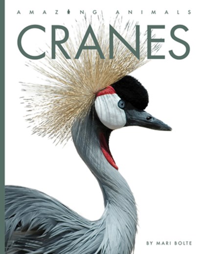 Cranes, Mari Bolte - Gebonden - 9798889892427