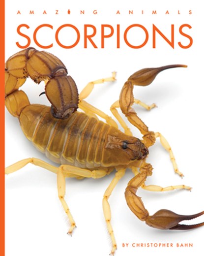Scorpions, Christopher Bahn - Gebonden - 9798889892472