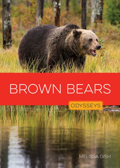 Brown Bears, Melissa Gish - Gebonden - 9798889896524