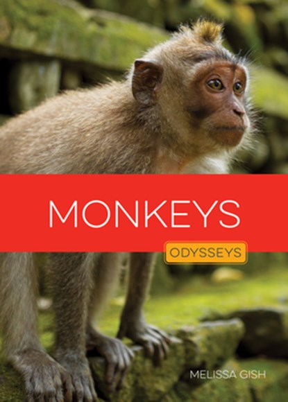 Monkeys, Melissa Gish - Gebonden - 9798889896593