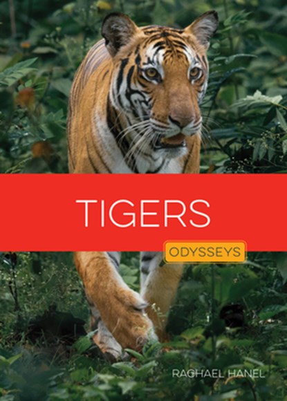 Tigers, Rachael Hanel - Gebonden - 9798889896630