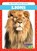 Lions, Natalie Deniston - Gebonden - 9798889965770