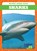 Sharks, Natalie Deniston - Gebonden - 9798889965862