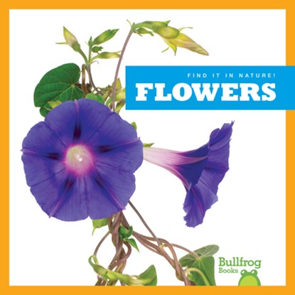 Flowers, Jenna Lee Gleisner - Paperback - 9798889966784