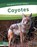 Coyotes, Dalton Rains - Gebonden - 9798889981732