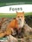 Foxes, Dalton Rains - Paperback - 9798889982326