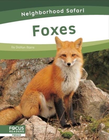 Foxes, Dalton Rains - Paperback - 9798889982326
