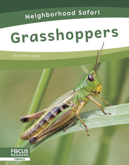 Grasshoppers, Dalton Rains - Paperback - 9798889982333