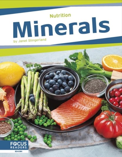 Minerals, Janet Slingerland - Paperback - 9798889982395