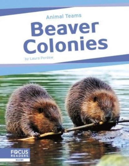 Beaver Colonies, Laura Perdew - Paperback - 9798889982456