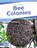 Bee Colonies, Trudy Becker - Paperback - 9798889982463