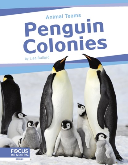 Penguin Colonies, Lisa Bullard - Paperback - 9798889982494
