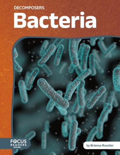 Bacteria, Brienna Rossiter - Paperback - 9798889984252