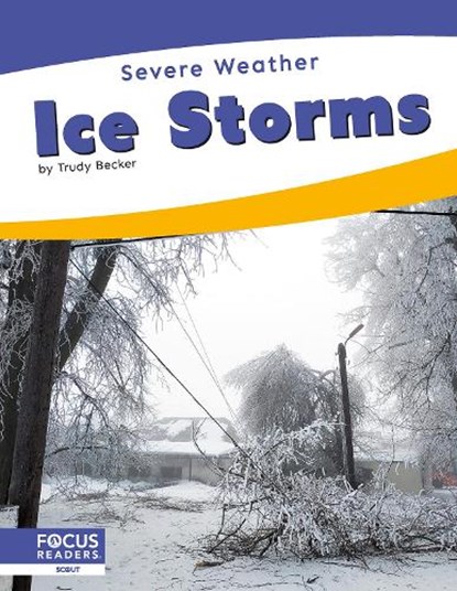 Ice Storms, Trudy Becker - Paperback - 9798889986362