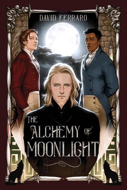 The Alchemy of Moonlight, David Ferraro - Paperback - 9798890031594
