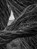 Patrick Dougherty | James Florio: Sticks, Patrick Dougherty - Gebonden - 9798890181015