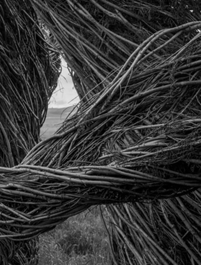Patrick Dougherty | James Florio: Sticks, Patrick Dougherty - Gebonden - 9798890181015