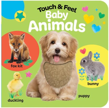 Touch & Feel Baby Animals, Fhiona Galloway - Gebonden - 9798890191373