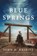 Blue Springs, John D Nesbitt - Paperback - 9798890224064