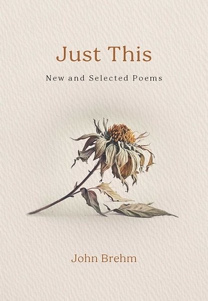 Just This, John Brehm - Paperback - 9798890700520