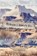 Things I Didn't Do, Karin Anderson - Paperback - 9798890920263