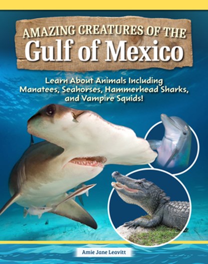 Amazing Creatures of the Gulf of Mexico: Learn about Animals Including Manatees, Seahorses, Hammerhead Sharks, and Vampire Squids!, Amie Jane Leavitt - Gebonden - 9798890941695