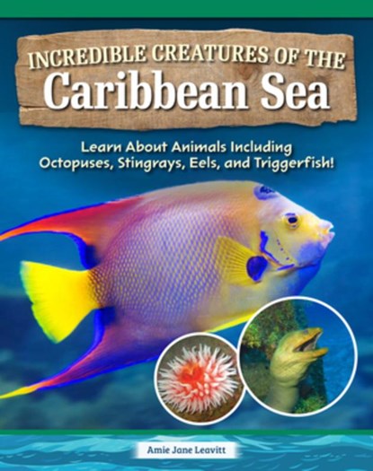 Incredible Creatures of the Caribbean Sea: Learn about Animals Including Octopuses, Stingrays, Eels, and Triggerfish!, Amie Jane Leavitt - Gebonden - 9798890941794