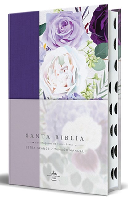 Reina Valera Revisada 1960: Biblia Rvr1960 Tapa Dura Y Tela, Reina Valera Revisada 1960 - Gebonden - 9798890981660