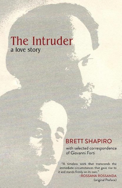 The Intruder, Brett Shapiro - Paperback - 9798891326705