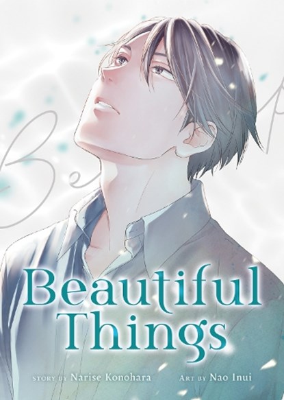 Beautiful Things: The Complete Manga Collection, Narise Konohara - Paperback - 9798891607361
