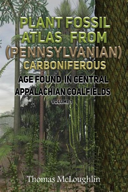 Plant Fossil Atlas From (Pennsylvanian) Carboniferous Age Found in Central Appalachian Coalfields Volume 1, Thomas Mcloughlin - Paperback - 9798891901049