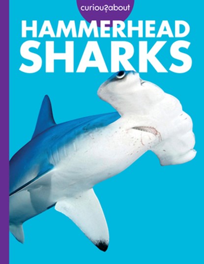 Curious about Hammerhead Sharks, Monika Davies - Paperback - 9798892005593