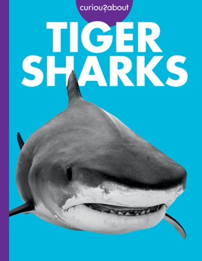 Curious about Tiger Sharks, Debra Randorf - Paperback - 9798892005616