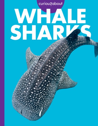 Curious about Whale Sharks, Monika Davies - Paperback - 9798892005623