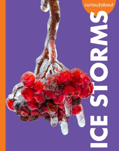 Curious about Ice Storms, Deborah Scigliano - Gebonden - 9798892008419