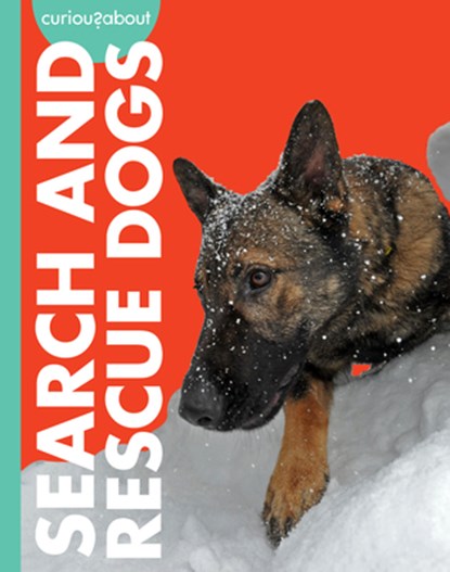 Curious about Search and Rescue Dogs, Cari Meister - Gebonden - 9798892008563