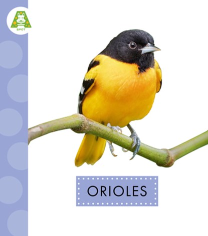 Orioles, Anastasia Suen - Paperback - 9798892008990