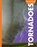 Curious about Tornadoes, Rachel Grack - Paperback - 9798892009089