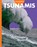 Curious about Tsunamis, Rachel Grack - Paperback - 9798892009096