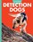 Curious about Detection Dogs, Cari Meister - Paperback - 9798892009195
