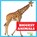 Biggest Animals, Lily Austen - Paperback - 9798892131261