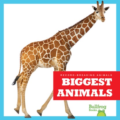 Biggest Animals, Lily Austen - Paperback - 9798892131261