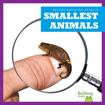 Smallest Animals, Lily Austen - Paperback - 9798892131353