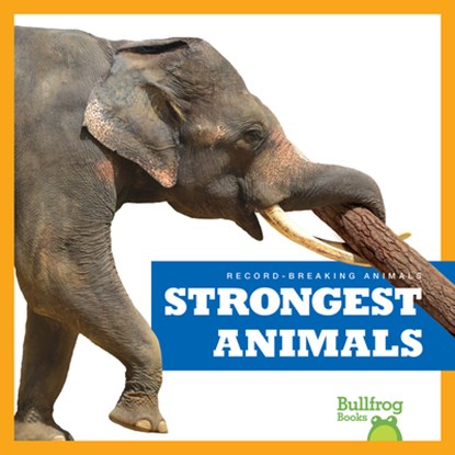 Strongest Animals, Lily Austen - Paperback - 9798892131414