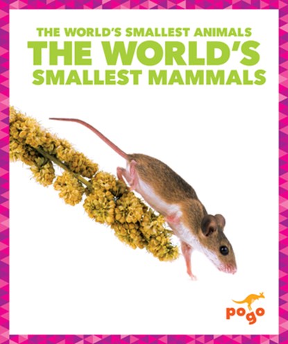 The World's Smallest Mammals, Becca Becker - Gebonden - 9798892131971