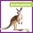 Kangaroos, Natalie Deniston - Paperback - 9798892135160
