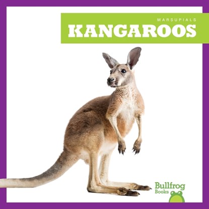 Kangaroos, Natalie Deniston - Paperback - 9798892135160